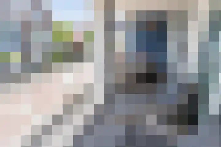Vigelandstraat 8 Den Haag thumbnail 4