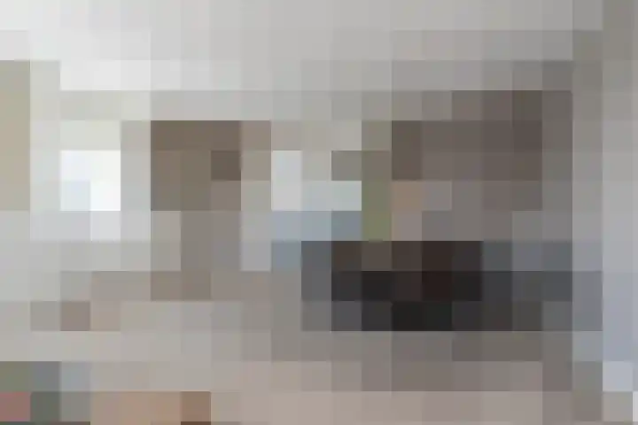 Vigelandstraat 8 Den Haag thumbnail 7