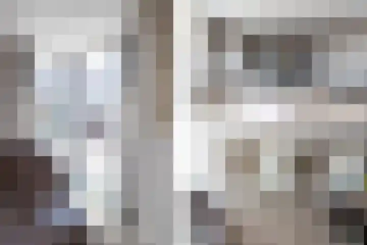 Vigelandstraat 8 Den Haag thumbnail 8