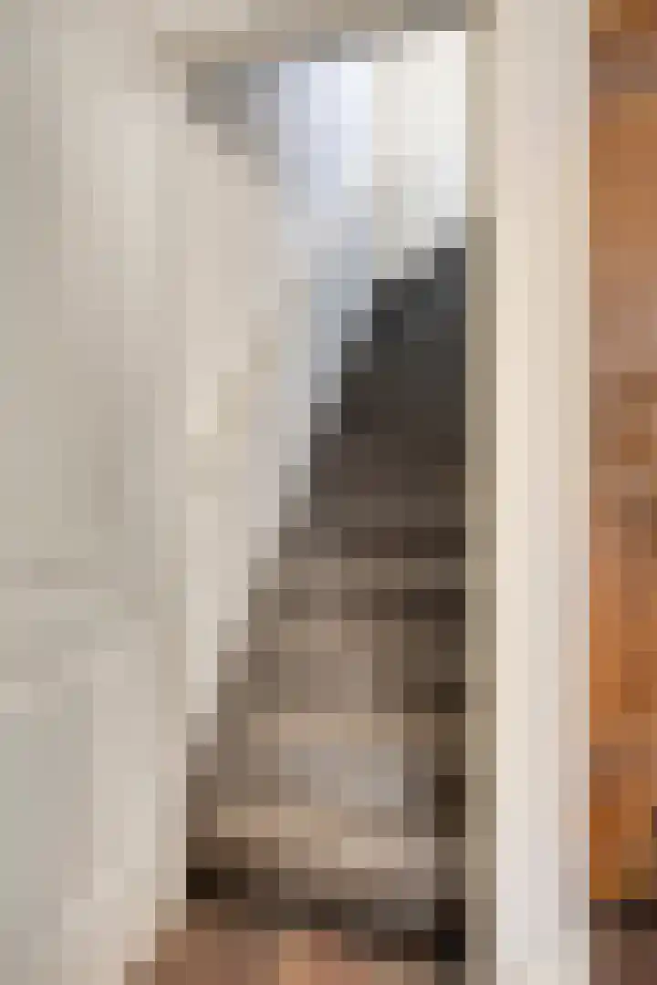 Vigiliusstraat 13 Tilburg thumbnail 32