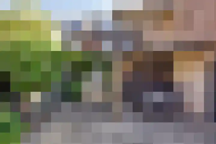 Vigiliusstraat 13 Tilburg thumbnail 38