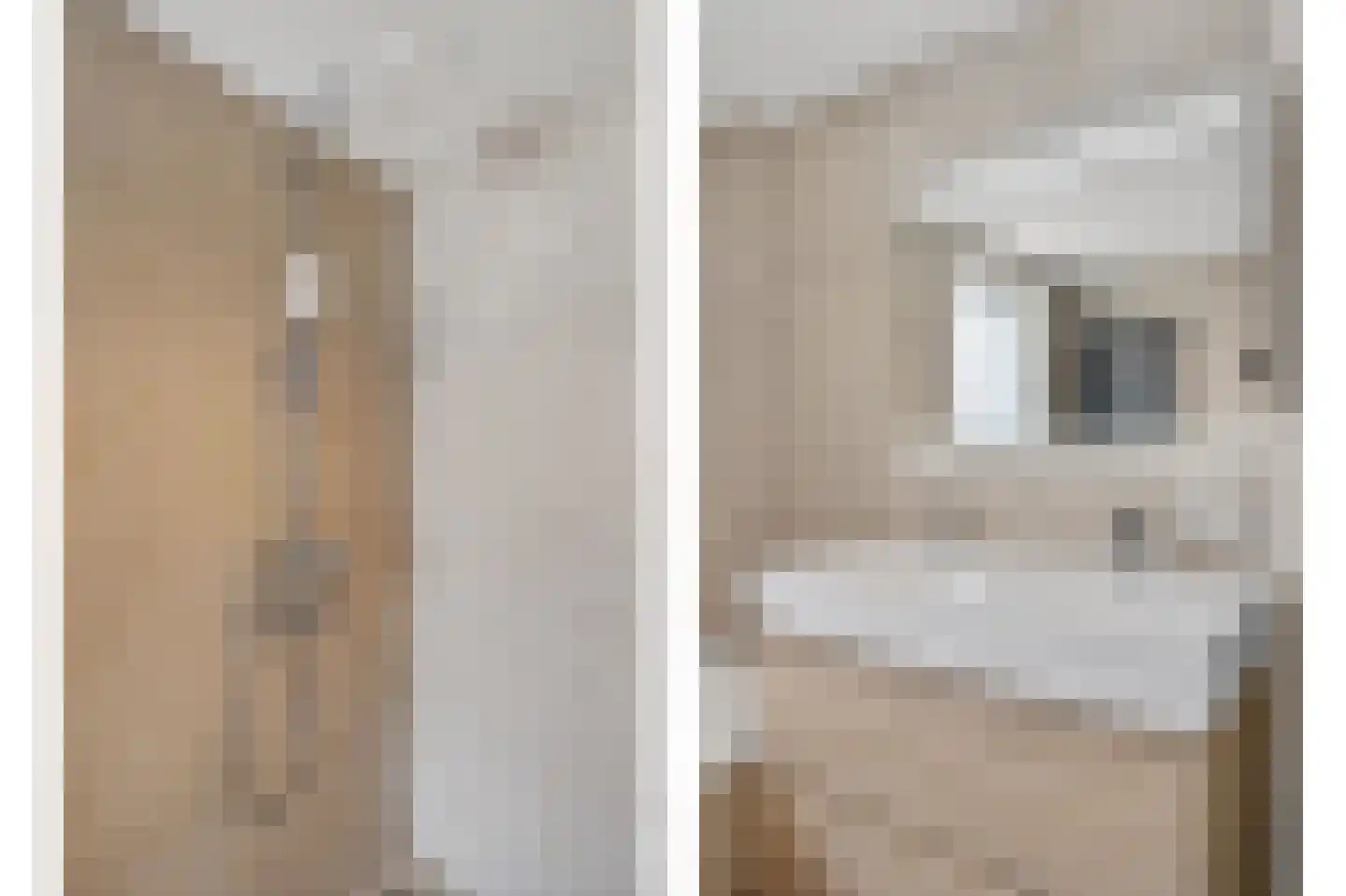 Vigiliusstraat 2 Tilburg thumbnail 31