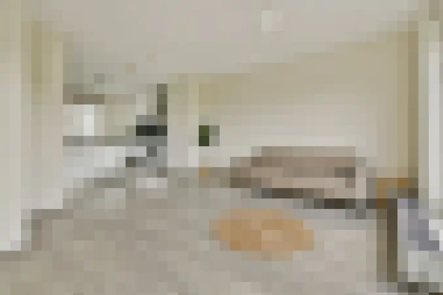 Vignolahof 11 Rotterdam thumbnail 5