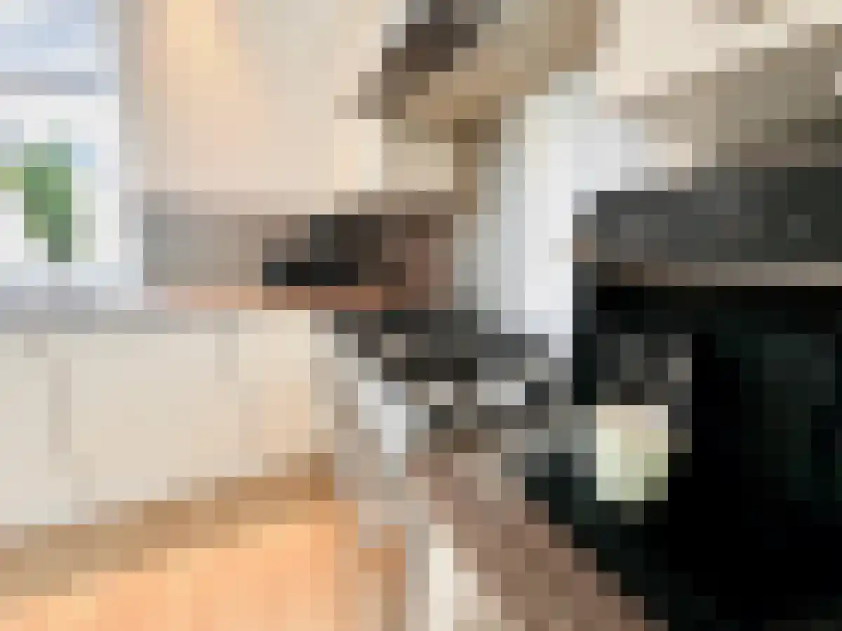 Vignolahof 13 Rotterdam thumbnail 5