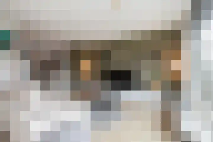 Vignolahof 5 Rotterdam thumbnail 10