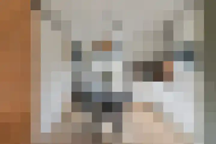 Vignolahof 5 Rotterdam thumbnail 12