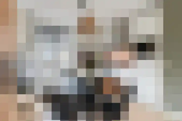 Vignolahof 5 Rotterdam thumbnail 13