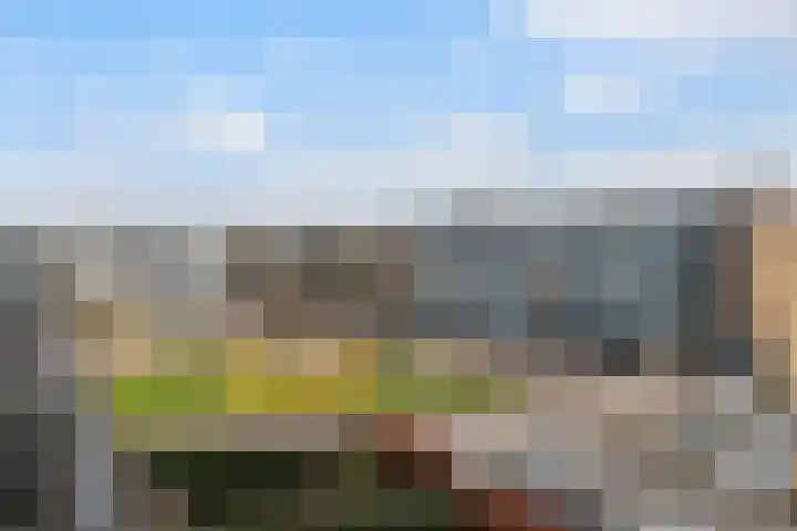 Vignolahof 5 Rotterdam thumbnail 26