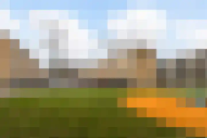 Vignolahof 5 Rotterdam thumbnail 27