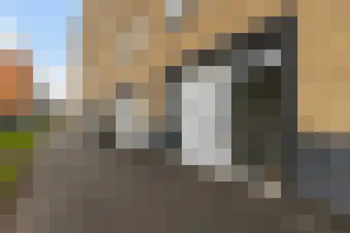 Vignolahof 5 Rotterdam thumbnail 31