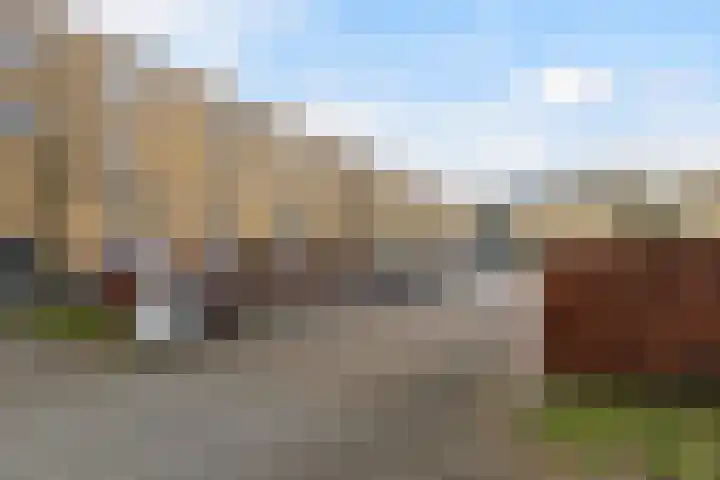 Vignolahof 5 Rotterdam thumbnail 32