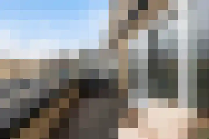 Vignolahof 5 Rotterdam thumbnail 4