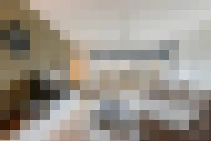 Vignolahof 5 Rotterdam thumbnail 6