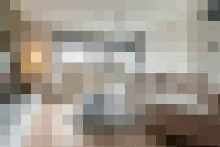 Vignolahof 5 Rotterdam thumbnail 7