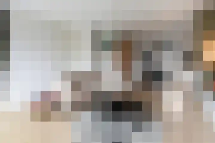 Vignolahof 5 Rotterdam thumbnail 8
