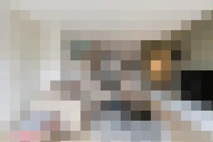 Vignolahof 5 Rotterdam thumbnail 9