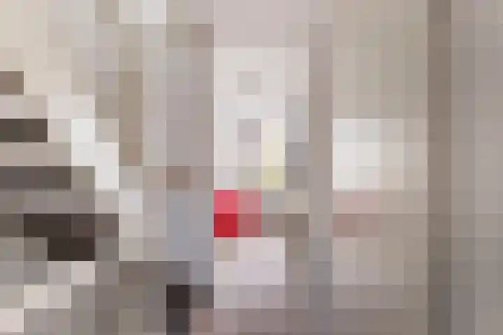 Vignolastraat 174 Rotterdam thumbnail 15