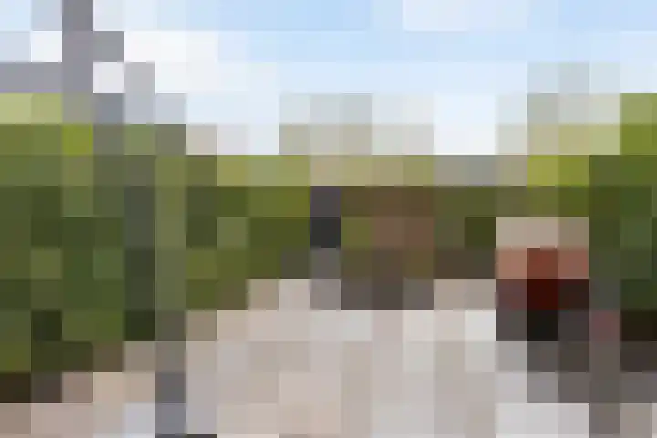 Vignolastraat 174 Rotterdam thumbnail 38