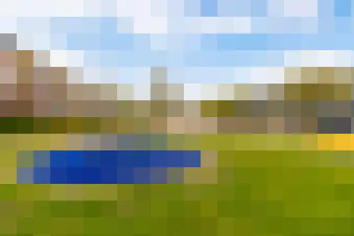 Vignolastraat 174 Rotterdam thumbnail 45