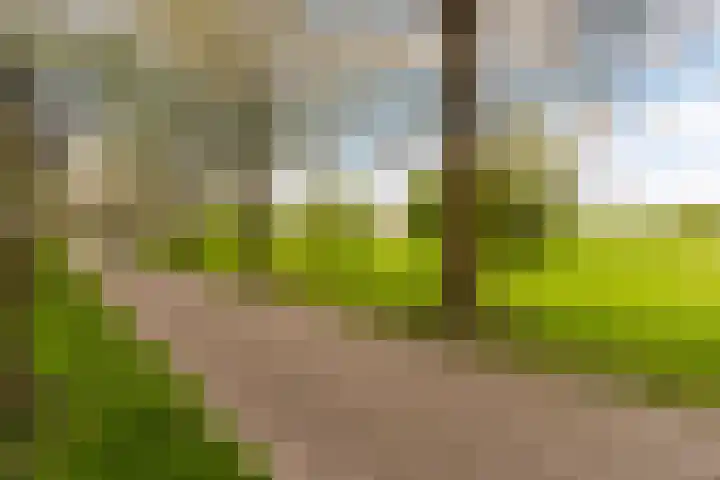 Vignolastraat 174 Rotterdam thumbnail 46