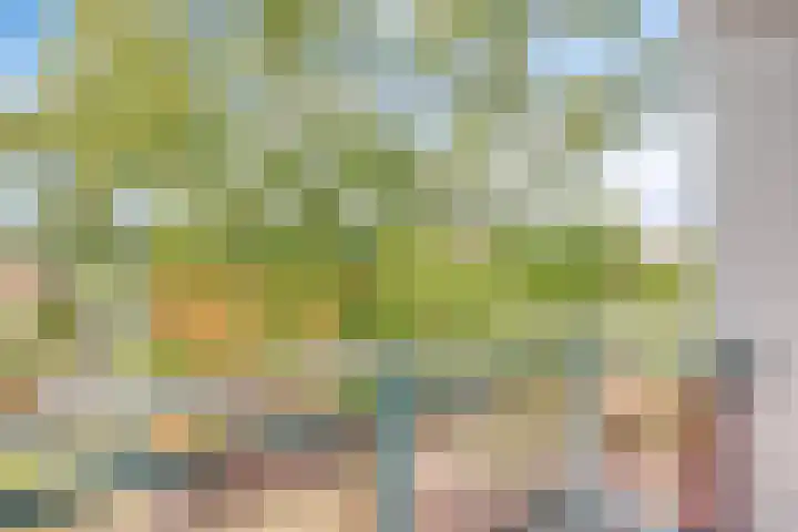 Vignolastraat 20 Rotterdam thumbnail 12