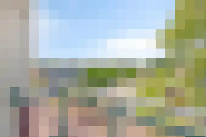 Vignolastraat 20 Rotterdam thumbnail 13