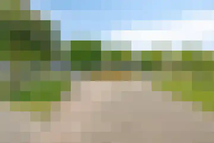 Vignolastraat 20 Rotterdam thumbnail 14