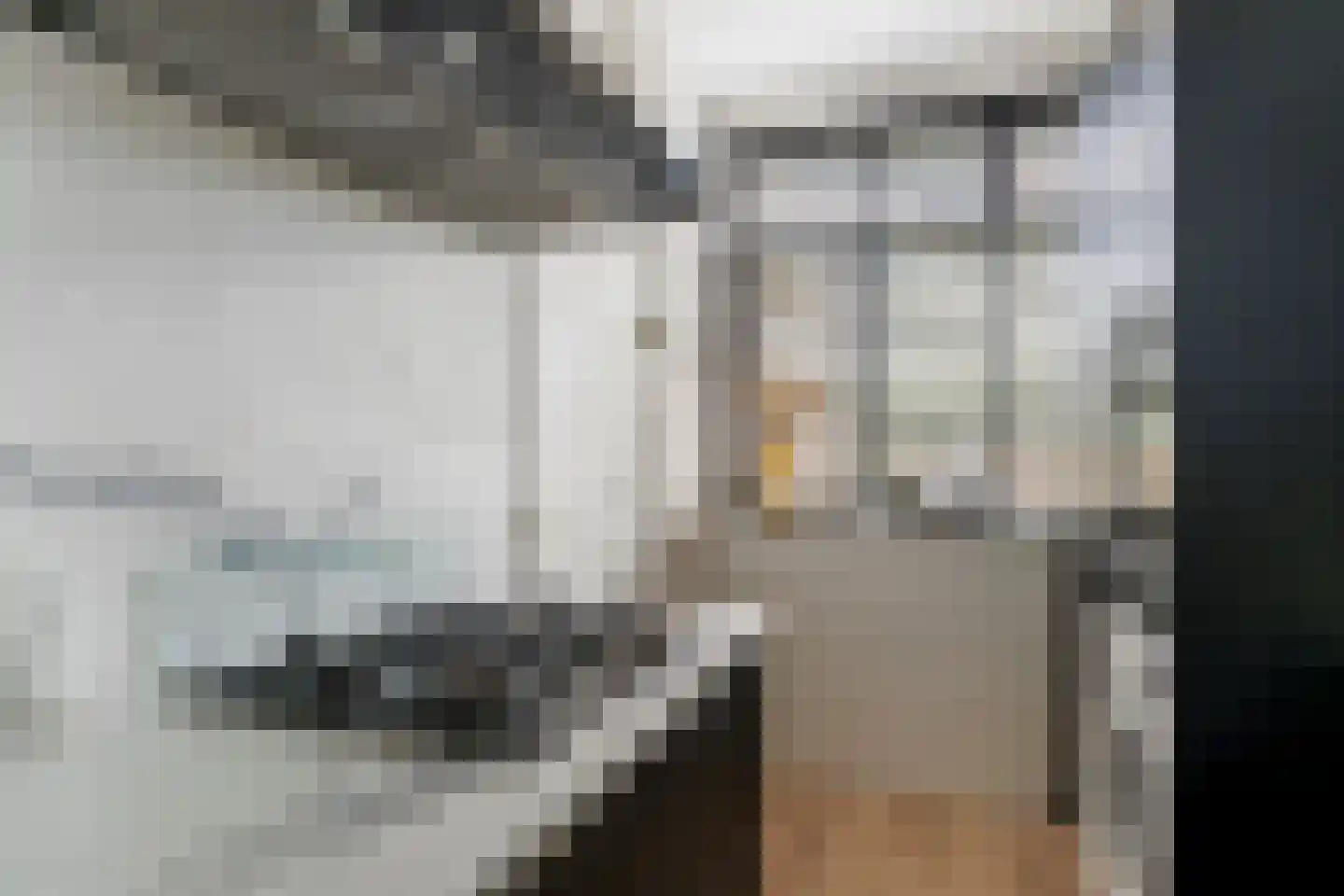 Vignolastraat 36 Rotterdam thumbnail 15