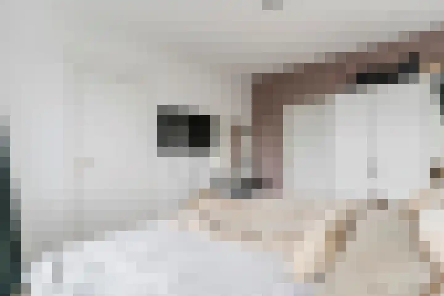 Vignolastraat 36 Rotterdam thumbnail 22