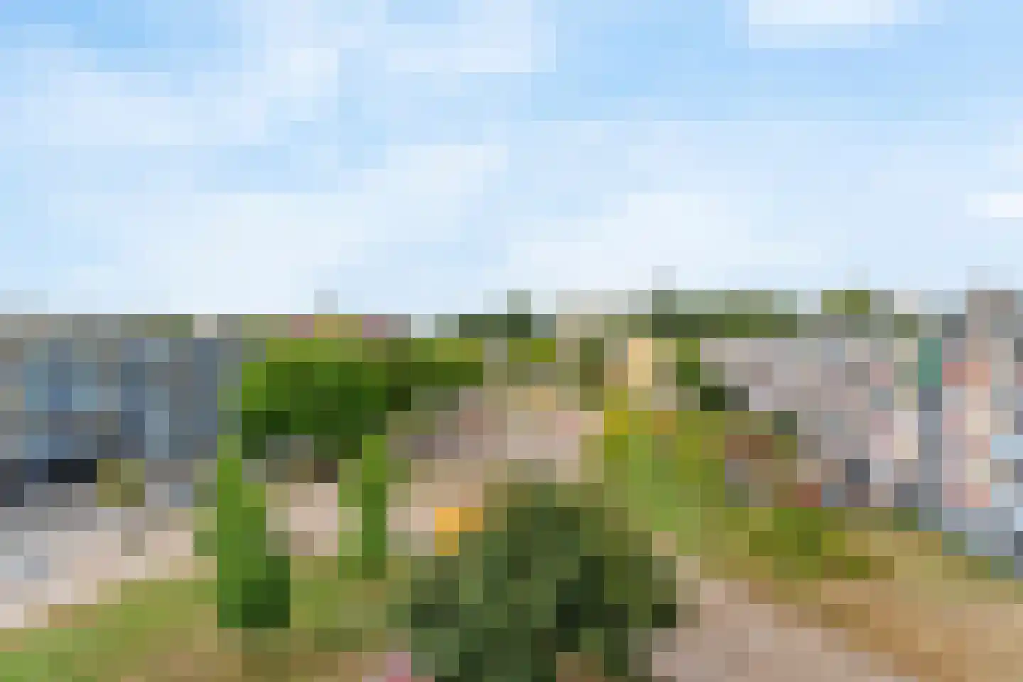 Vignolastraat 36 Rotterdam thumbnail 4