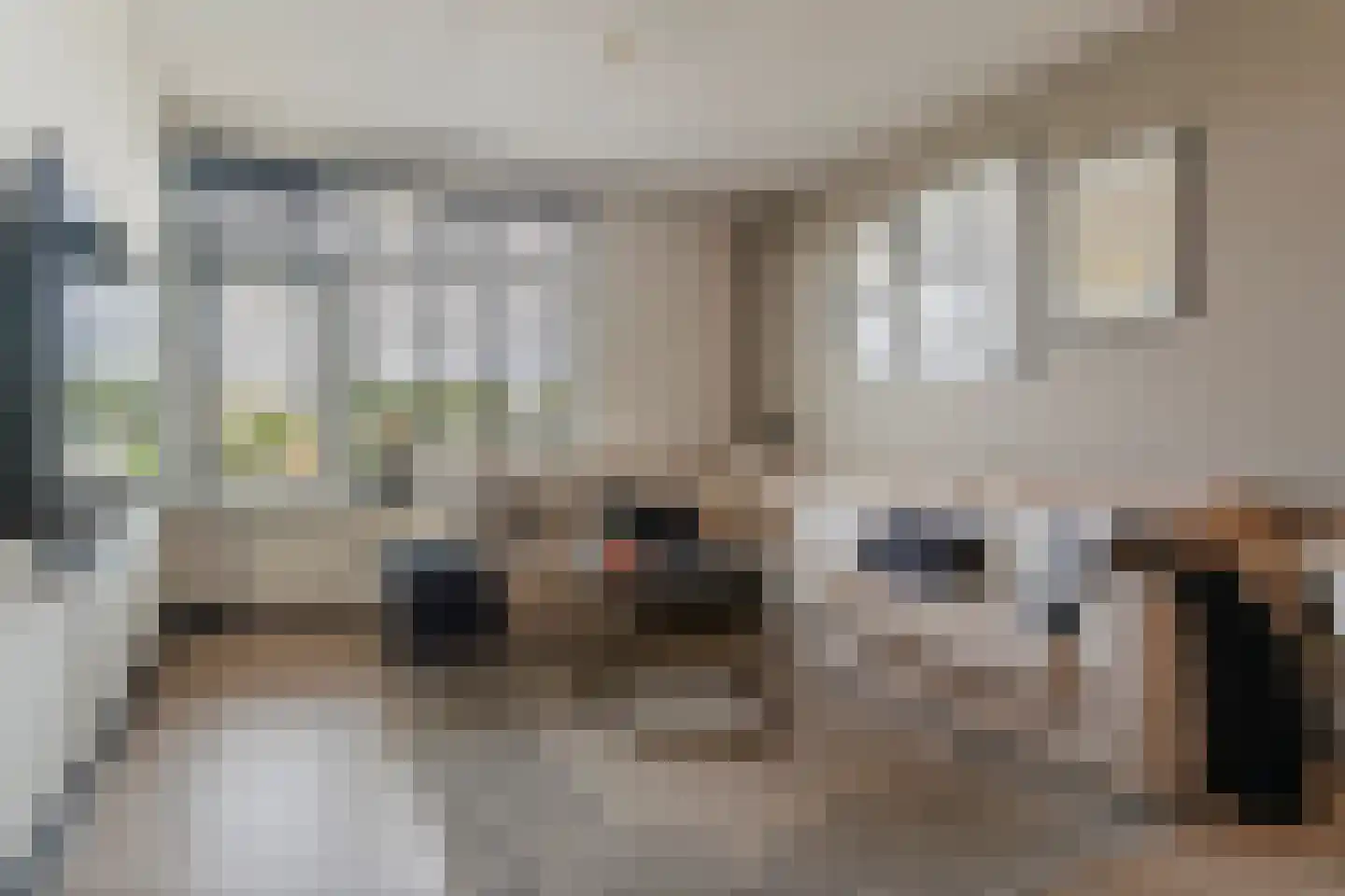 Vignolastraat 36 Rotterdam thumbnail 8