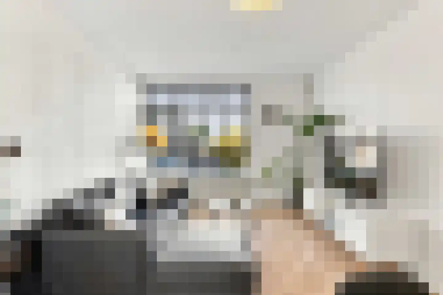 Vignolastraat 66 Rotterdam thumbnail 12