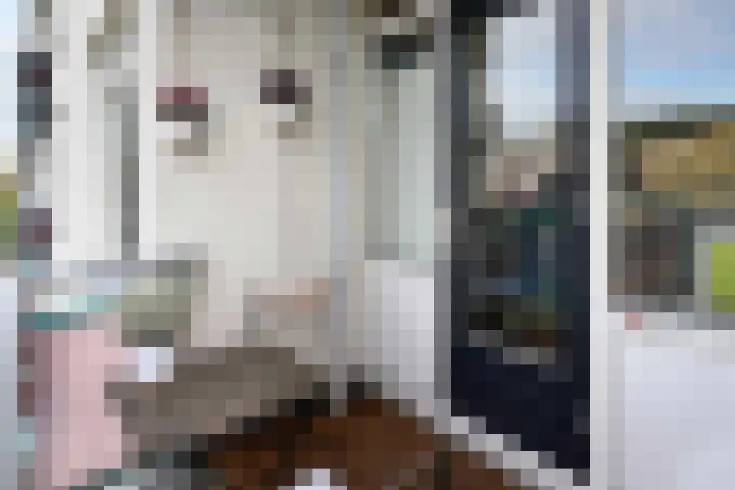 Vignolastraat 66 Rotterdam thumbnail 15