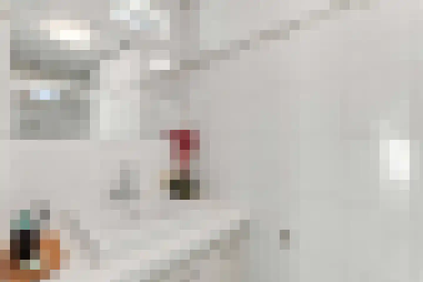 Vignolastraat 66 Rotterdam thumbnail 18