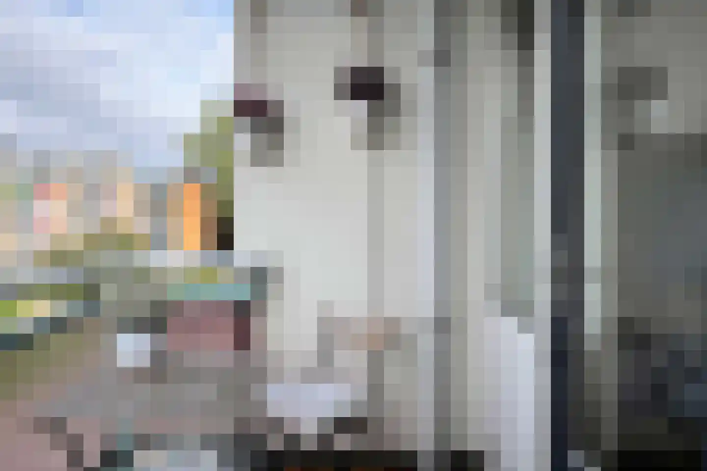 Vignolastraat 66 Rotterdam thumbnail 5