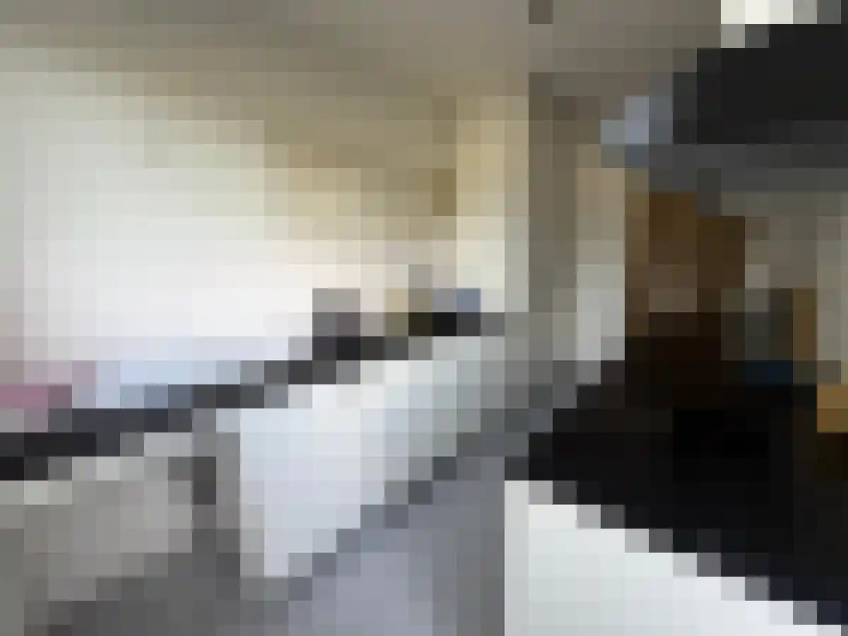 Vignolaweg Eindhoven thumbnail 4
