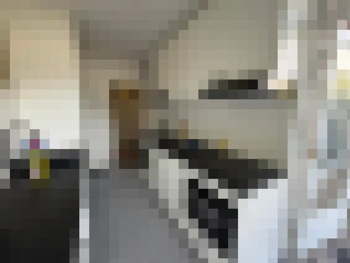 Vignolaweg Eindhoven thumbnail 5
