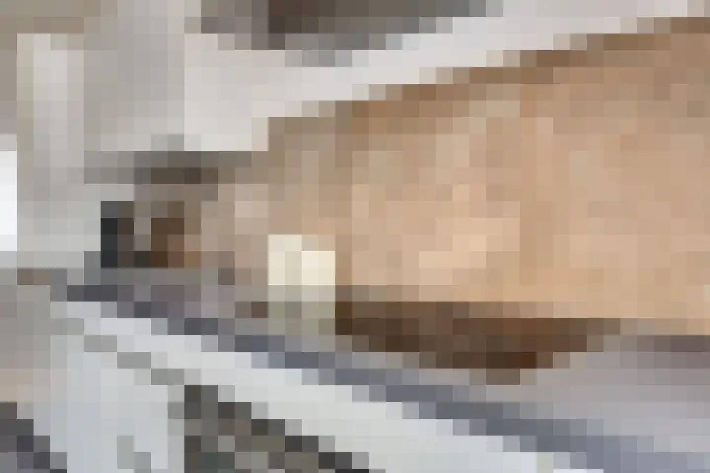 Vigohof 19 Rotterdam thumbnail 10