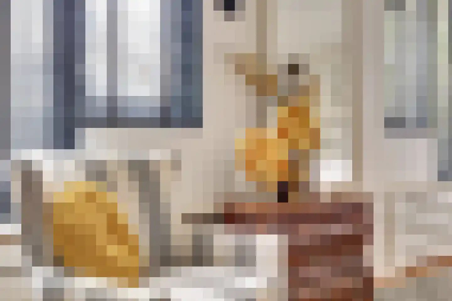 Vigohof 19 Rotterdam thumbnail 15