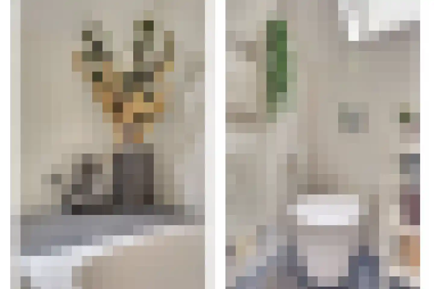 Vigohof 19 Rotterdam thumbnail 20