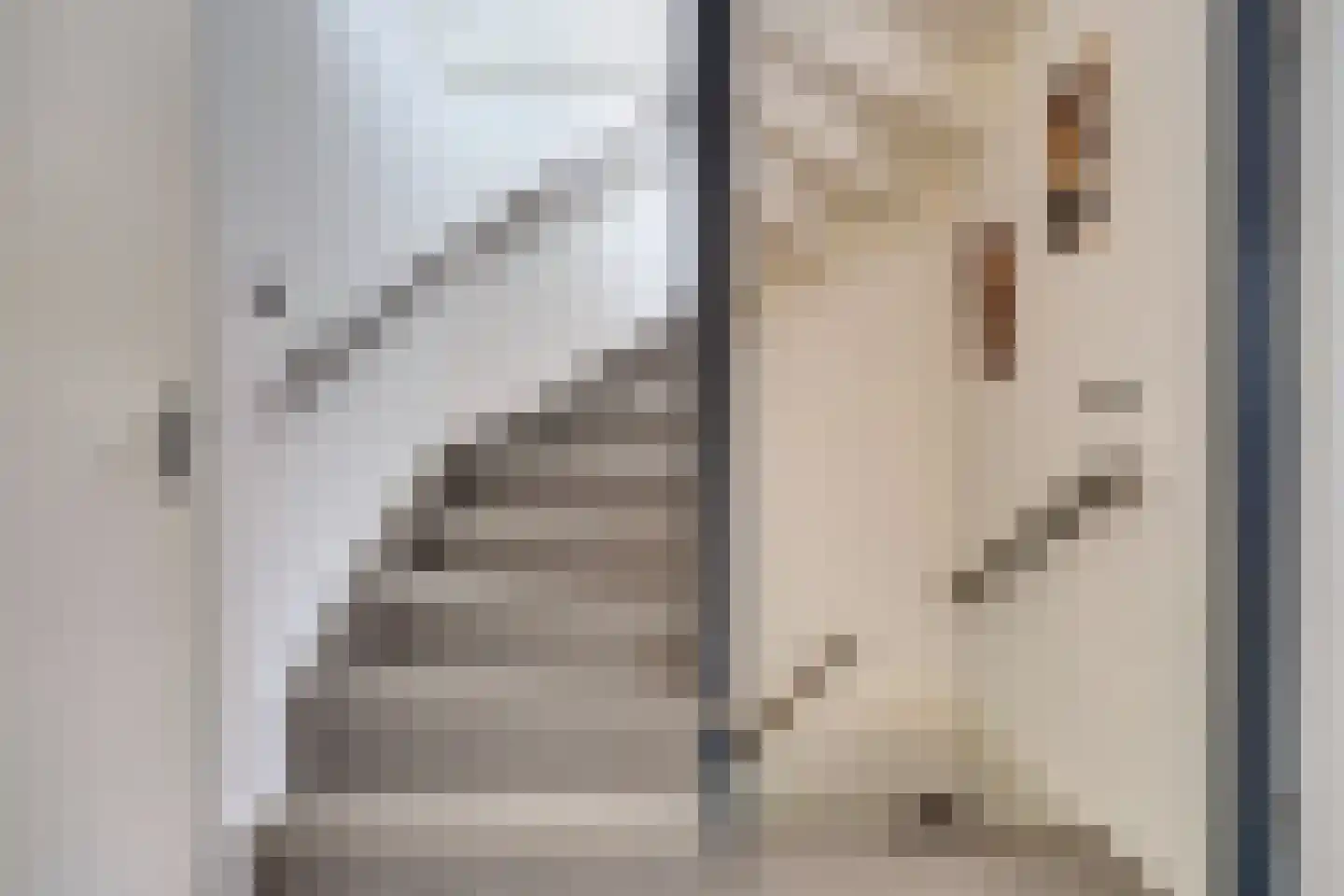 Vigohof 19 Rotterdam thumbnail 23