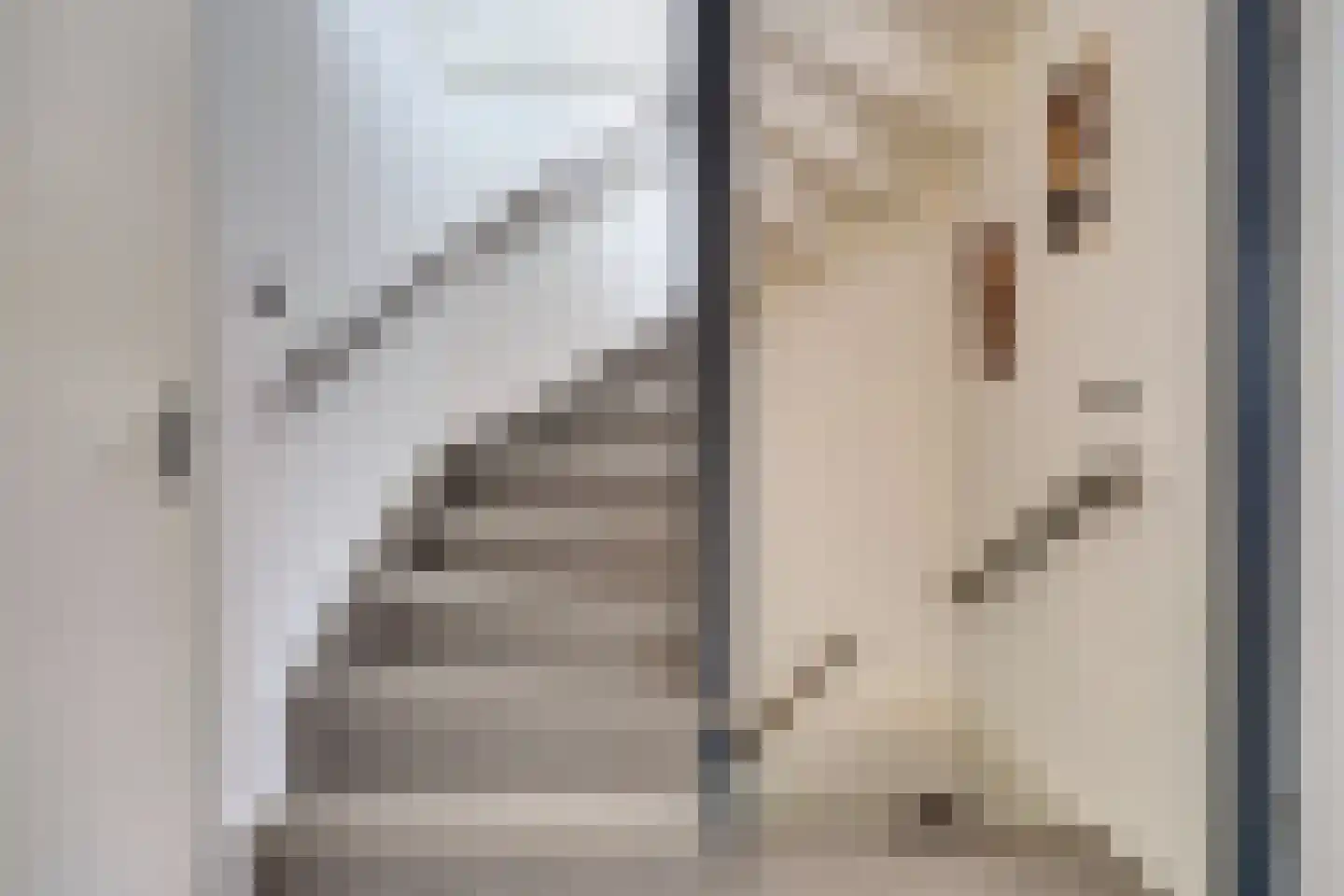 Vigohof 19 Rotterdam thumbnail 23