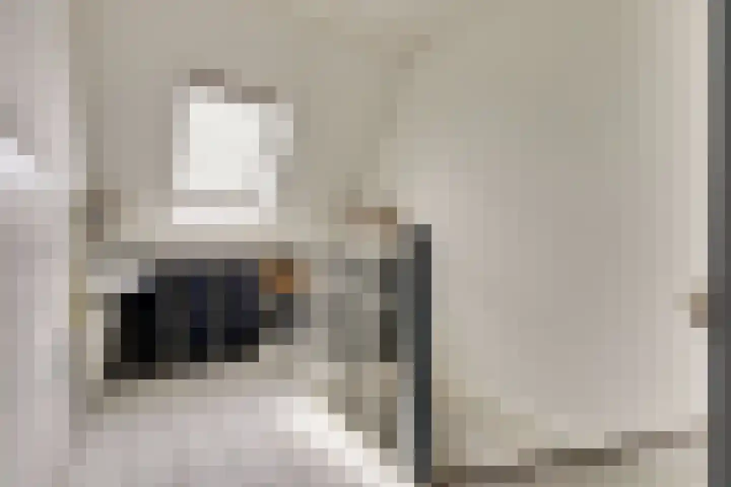 Vigohof 19 Rotterdam thumbnail 24