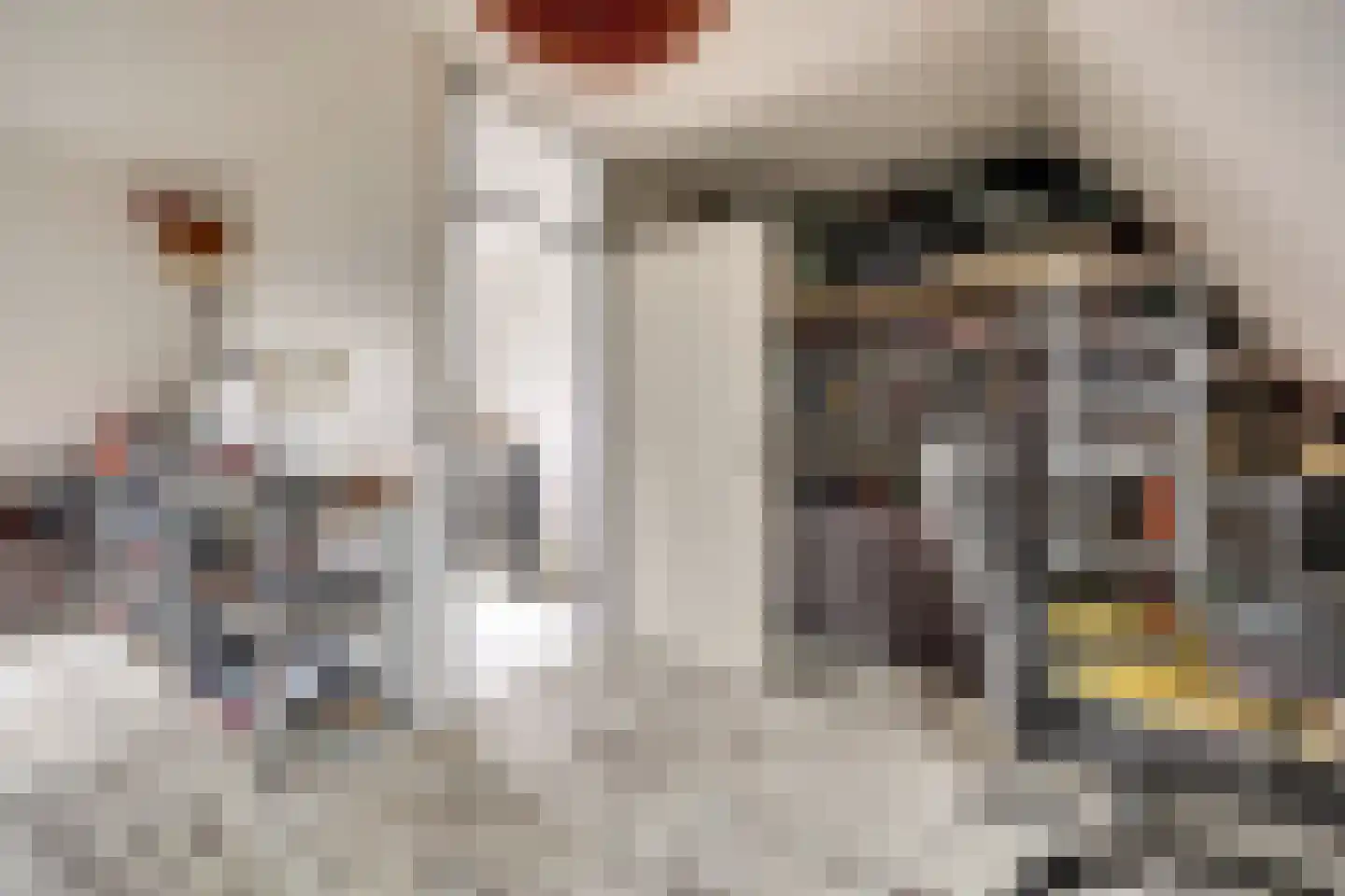 Vigohof 19 Rotterdam thumbnail 25