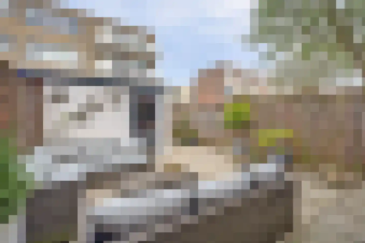 Vigohof 19 Rotterdam thumbnail 27