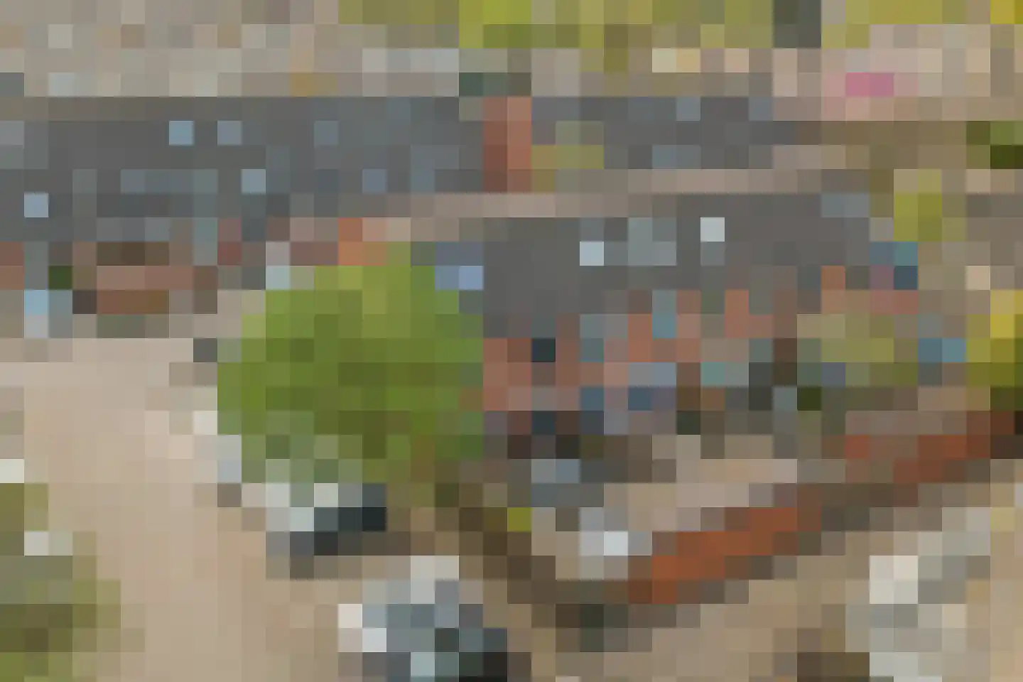 Vigohof 19 Rotterdam thumbnail 30
