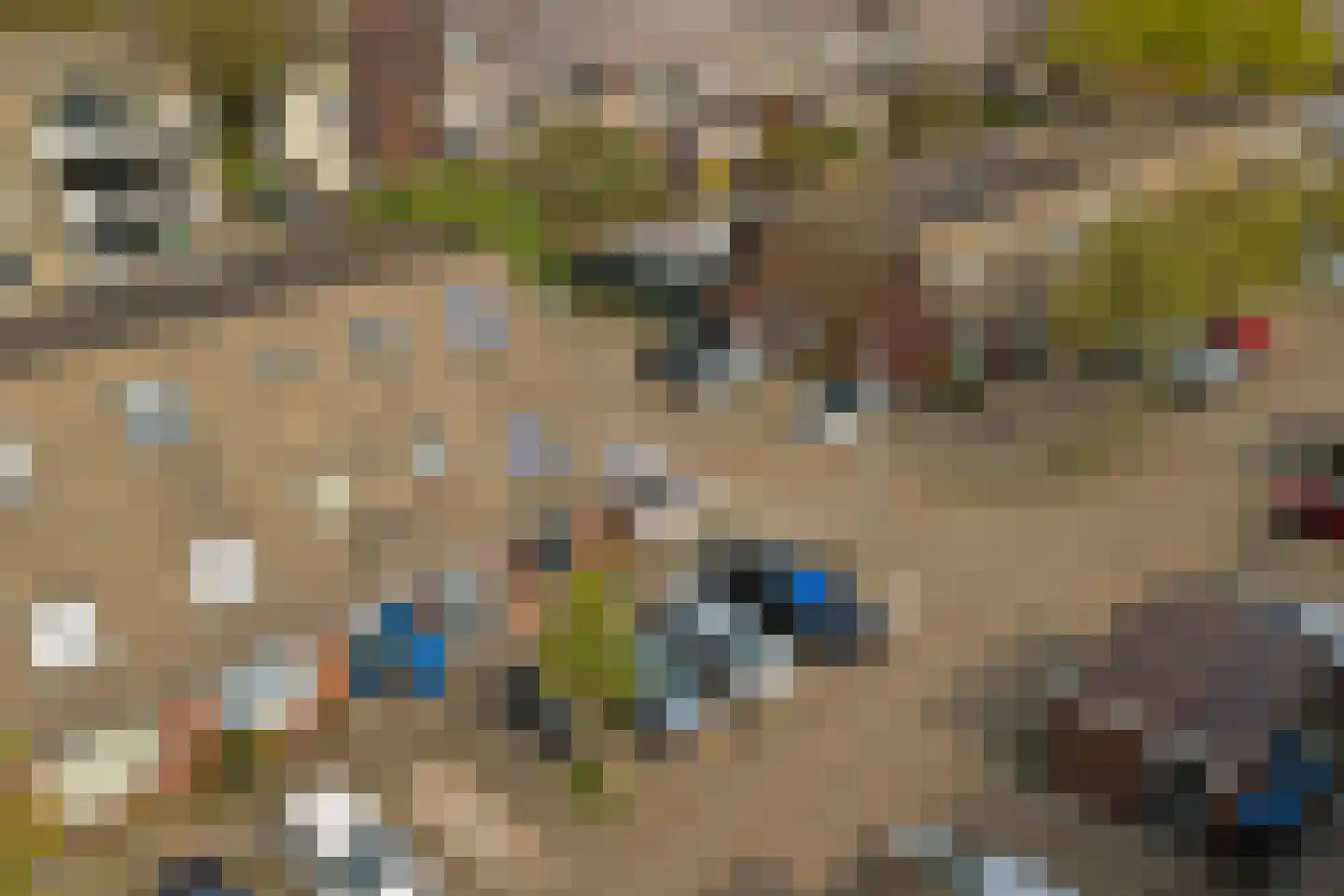 Vigohof 19 Rotterdam thumbnail 36