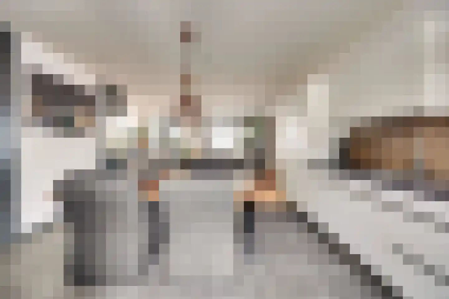 Vigohof 19 Rotterdam thumbnail 6