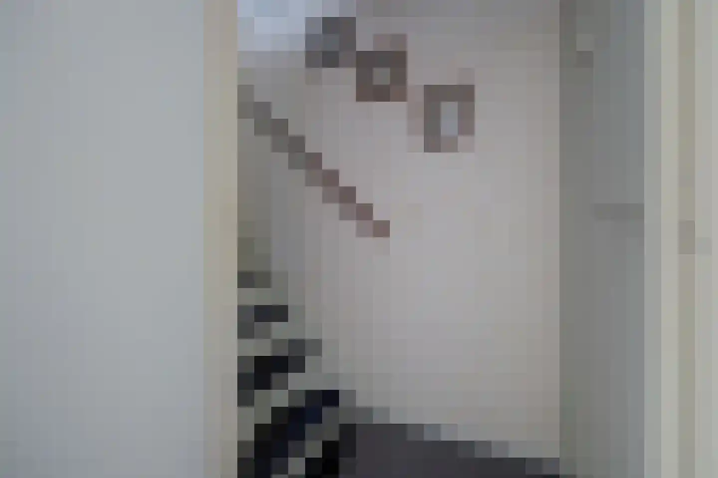 Vigohof 20 Rotterdam thumbnail 13