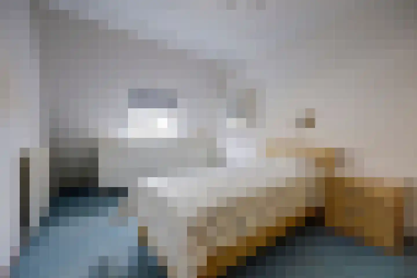 Vigohof 20 Rotterdam thumbnail 16